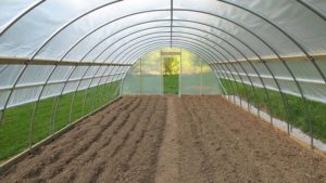 greenhouses-sale-page-poly-tunnels