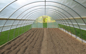 home-greenhouses-for-sale-poly-tunnels