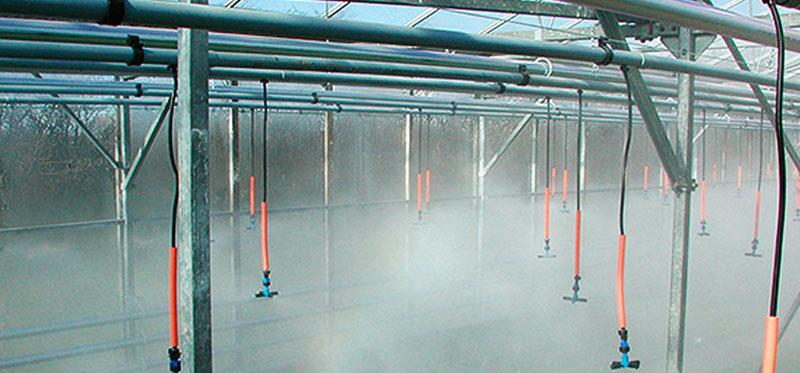 irrigation-page-overhead-fogging-2