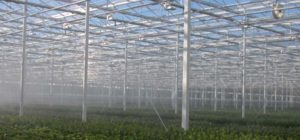 irrigation-page-overhead-fogging