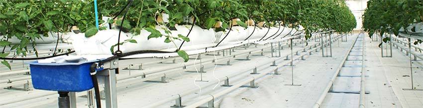 irrigation-page-recirculating-water-1-hydroponics