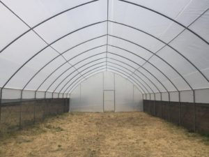 poly-tunnels-greenhouses-page-gallery (2)