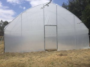 poly-tunnels-greenhouses-page-gallery (3)