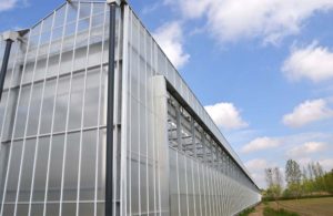 venlo-greenhouses-page-gallery-pic1