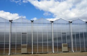 venlo-greenhouses-page-gallery-pic2