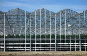 venlo-greenhouses-page-gallery-pic3