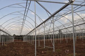 Expression Flower (Greenhouse and Water silo)