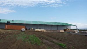 New Holland Chips Ltd