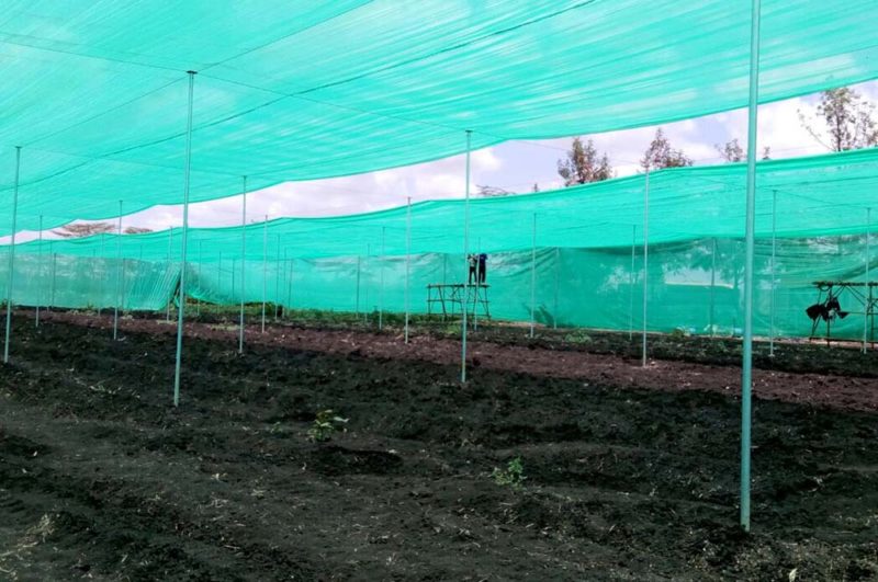 Greenhouses JavvaGreen Limited